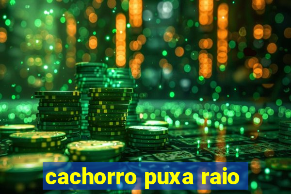 cachorro puxa raio